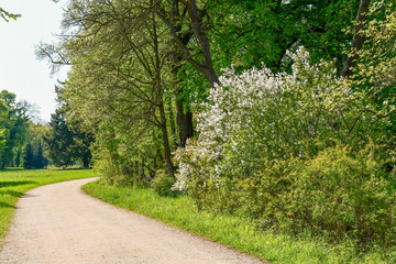 Parklandschaft im Fr&uuml;hling - Land Brandenburg