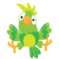 Parrot vector illustration 
