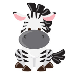Zebra vector illustration 
