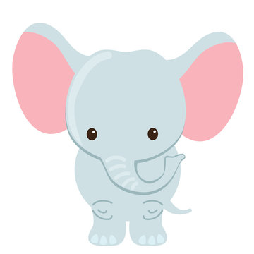 Elephant vector illustration 
