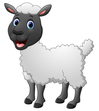 Cartoon funny sheep posing isolated on white background