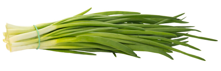 Fototapeta premium Spring onions - isolated.