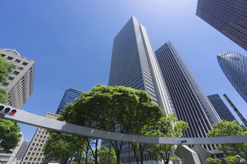 Obraz premium 新宿高層ビル街 快晴 青空 新緑 緑 春 超広角で見上げる 新宿警察署前
