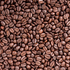 coffee beans background