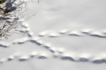 Fototapeta na wymiar Beautiful abstract winter pattern, footprints on white snow outdoor