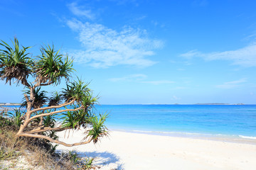 Obraz na płótnie Canvas 美しい沖縄のビーチと夏空 