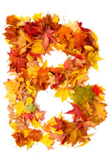 Fototapeta na wymiar alphabet sign from autumn leaf