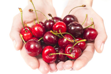 Sweet cherries in the hands of european girls