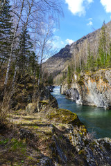 Fototapeta na wymiar mountain river in gorge