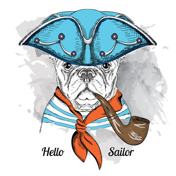 Image Portrait dog in a sailor hat and  with tobacco pipe. Vector illustration.