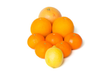 Mixed citrus fruit including lemon, grapefruit, oranges and mandarines isolated on a white background