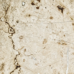 stone background (286)