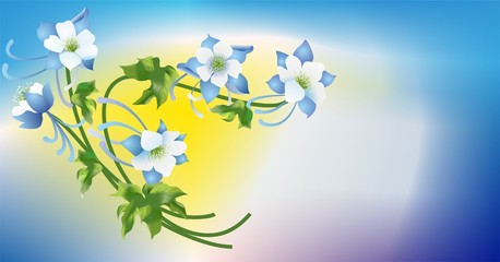 niebieski kwiat,