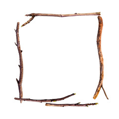 watercolor wood twigs