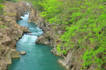 新緑の厳美渓