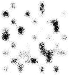Black grunge spots on a white background. Vector background