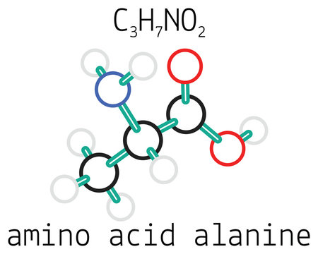 C3H7NO2 alanine amino acid molecule
