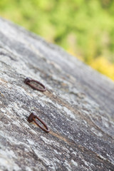 Metal ring climbing equipment at stone cliff