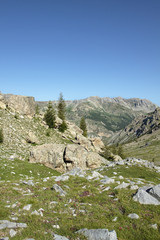Circuit of the lakes of the estrop, the park of Mercantour, department of the Alpes-Maritimes, France