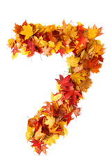 alphabet sign from autumn leaf