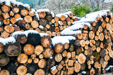 雪の積もった薪