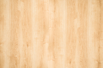 Fototapeta premium nature wood background