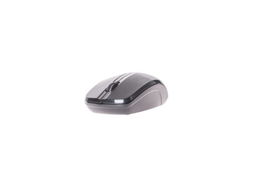  Black computer mouse  on white background