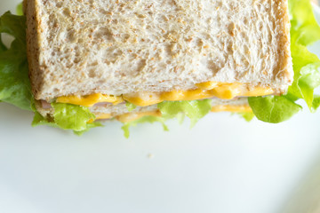 Club Sandwich on white plate