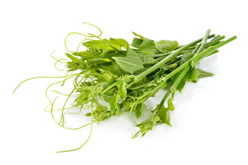 chayote leaves and stem on white background