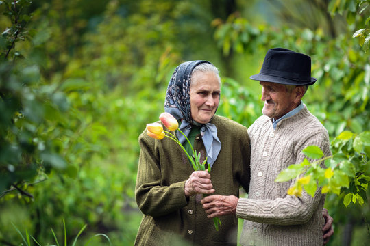 Old Man Giving Flowers To His Wife