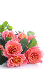 bouquet of pink roses