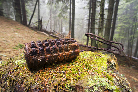 Fototapeta Grenade from the First World War
