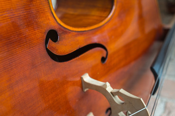 Fototapeta premium Close up view of bass.