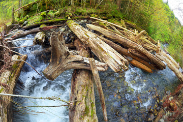 Destroyed wooden dam