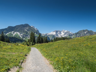 Obraz premium A view of Alpine mountains surrounding the village Schroecken in Bregenzerwald, region Vorarlberg, Austria