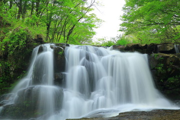 Obraz premium 一関市 霜後の滝