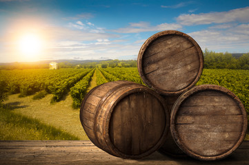 Red wine with barrel on vineyard in green Tuscany, Italy