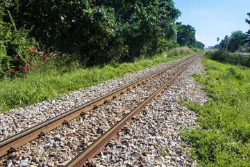 Obraz premium Railway diagonal line nature tree beside