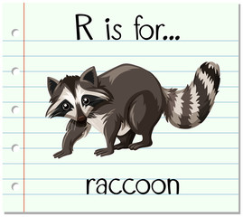 Flashcard letter R is for raccoon © blueringmedia