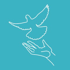 голубь и рука