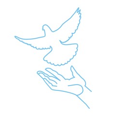 голубь и рука