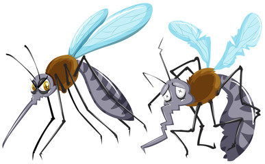 Mosquitoes strong and weak