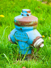 Blue fire hydrant