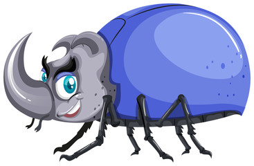 Beetle with blue shell