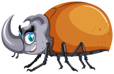 Beetle bug on white background