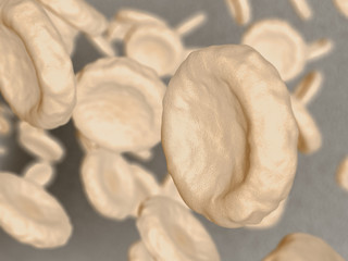 Blood cells.3D illustration.