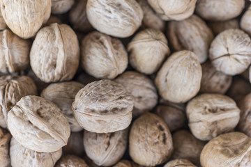 Walnuts in shells on a market
