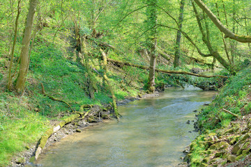 der Fluss Düssel im berühmten Neandertal zwischen Haan und Mettmann,NRW,Deutschland