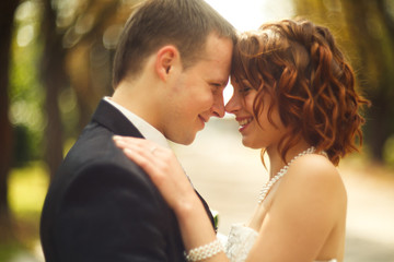 Shine and kisses - newlyweds touch with their noses hugging