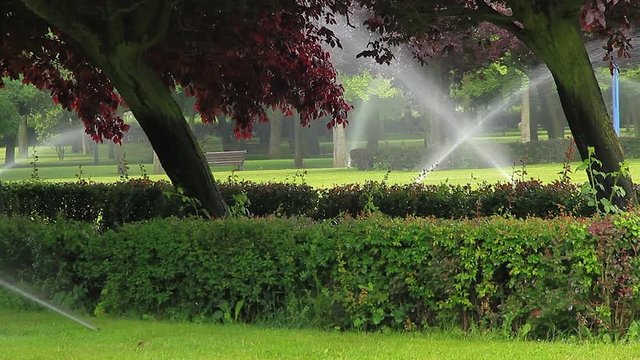 Riego por aspersion en un parque urbano con hierba verde setos y arboles de distintas  especies

